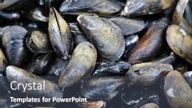  Presentation with fish people - Slide deck having mussels-wild-mussels-fresh-live background and a ocean colored foreground
