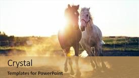  Presentation with footprints and sand sun - Cool new PPT theme with mustang - white and dark horse gallopading backdrop and a yellow colored foreground