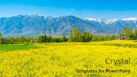  Presentation with snow - Beautiful presentation design featuring mustard-field-with-beautiful-snow backdrop and a gold colored foreground