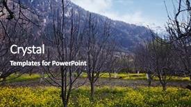  Presentation with himachal pradesh - Cool new theme with mustard fields with mountains backdrop and a dark gray colored foreground