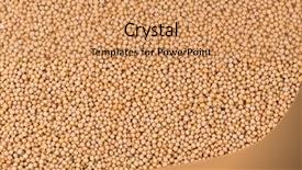  Presentation with mustard seed - Slides featuring mustard seed as whole background background and a coral colored foreground