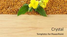  Presentation with mustard seed faith - Cool new PPT layouts with mustard seeds and mustard flower backdrop and a  colored foreground
