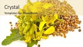  Presentation with mustard seed faith - Amazing slide deck having mustard seeds heap and mustard backdrop and a yellow colored foreground