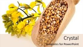  Presentation with seeds - Audience pleasing PPT theme consisting of mustard seeds heap in wooden backdrop and a yellow colored foreground