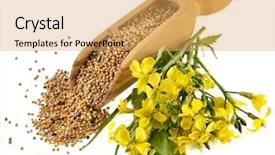  Presentation with bloom - PPT theme consisting of mustard seeds in the wooden background and a yellow colored foreground