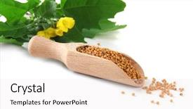  Presentation with seeds - Colorful presentation design enhanced with mustard seeds in wooden scoop backdrop and a  colored foreground