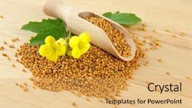  Presentation with seeds - Amazing presentation theme having close up of carduelis chloris greenfinch madeira island portugal backdrop and a light gray colored foreground