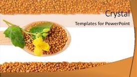  Presentation with seeds - Amazing slide set having mustard seeds with mustard flower backdrop and a gold colored foreground
