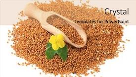  Presentation with seed and tree mustard - Presentation theme with mustard seeds with mustard flower background and a  colored foreground