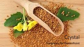  Presentation with seed and tree mustard - Cool new PPT layouts with mustard seeds with mustard flower backdrop and a  colored foreground