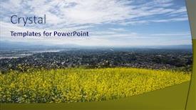  Presentation with wildflower meadow - Colorful presentation design enhanced with mustard-wildflower-meadow-hillside backdrop and a lemonade colored foreground