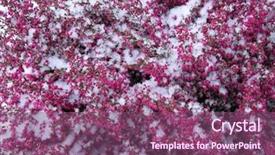  Presentation with snow - Slide deck having  background and a  colored foreground.