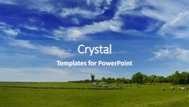  Presentation with green gram - Slide deck consisting of mustered - sheep and green grass background and a  colored foreground