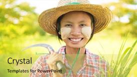  Presentation with traditional medicinal plants - Presentation theme enhanced with myanmar asian traditional farmer planting background and a yellow colored foreground