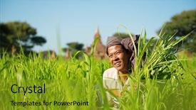  Presentation with traditional medicinal plants - PPT theme featuring myanmar asian traditional farmer planting background and a gold colored foreground