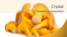  Presentation with white - Colorful PPT layouts enhanced with dill ready for cooking backdrop and a soft green colored foreground