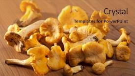  Presentation with mushrooms - Amazing theme having mycologie - fresh chanterelle mushrooms backdrop and a gold colored foreground