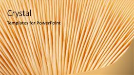  Presentation with mushroom - Beautiful PPT layouts featuring mycologie - texture of the mushroom cap backdrop and a yellow colored foreground