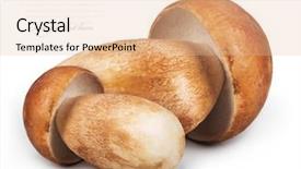  Presentation with mycology - PPT theme featuring mycology - boletus edulis isolated on white background and a lemonade colored foreground