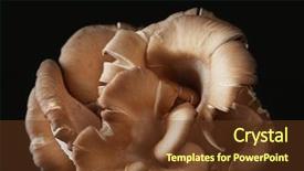  Presentation with fresh lettuce strawberries blueberries mushroom - PPT layouts featuring mycology - fresh mushrooms on dark background background and a tawny brown colored foreground