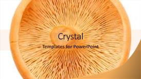  Presentation with mushroom - Presentation having mycology - mushroom isolated on white background background and a yellow colored foreground