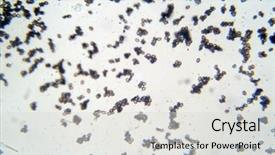  Presentation with mycology - Slide set consisting of mycology - mushroom spore of the agaricus background and a light gray colored foreground