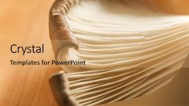  Presentation with mushroom - Cool new slides with mycology - mushroom texture closeup backdrop and a coral colored foreground