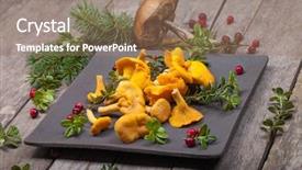  Presentation with dark old fashioned - Cool new slide set with mycology - mushrooms on an old dark backdrop and a coral colored foreground