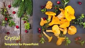  Presentation with mycology - Colorful presentation enhanced with mycology - mushrooms on an old dark backdrop and a tawny brown colored foreground