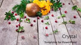  Presentation with dark old fashioned - Presentation design having mycology - mushrooms on an old dark background and a light gray colored foreground