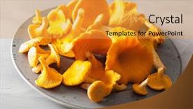  Presentation with mushrooms - PPT layouts featuring mycology - raw fresh chanterelle mushrooms background and a yellow colored foreground