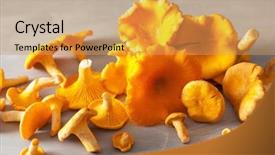  Presentation with fresh lettuce strawberries blueberries mushroom - PPT layouts consisting of mycology - raw fresh chanterelle mushrooms background and a yellow colored foreground