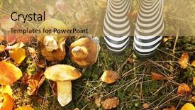 Presentation with rubber - PPT theme featuring mycology - rubber boots and mushrooms background and a yellow colored foreground