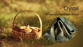  Presentation with boot camp boots - Cool new PPT theme with mycology - rubber boots and wicker basket backdrop and a gold colored foreground