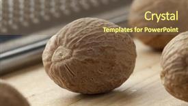  Presentation with black women single - Colorful presentation theme enhanced with myristica fragrans - single nutmeg kernel close up backdrop and a  colored foreground