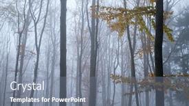  Presentation with dark forest landscape - Theme featuring mysterious-dark-beech-forest background and a gray colored foreground