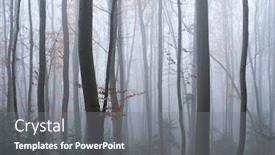  Presentation with dark forest landscape - Cool new PPT theme with mysterious-dark-beech-forest backdrop and a gray colored foreground