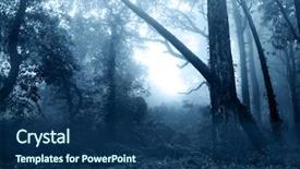  Presentation with foggy forest - Slide set consisting of mysterious landscape of foggy forest background and a ocean colored foreground