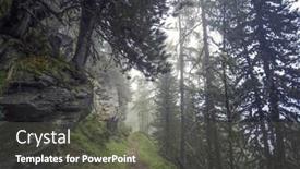  Presentation with pine - Slide set having mysterious-pine-wood-in-alpine background and a dark gray colored foreground