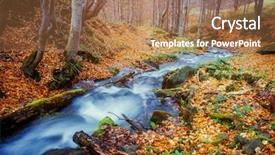  Presentation with carpet - Presentation theme having mysterious places - fantastic carpet of yellow leaves background and a coral colored foreground
