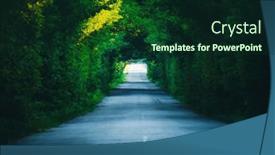  Presentation with area - PPT theme enhanced with mysterious-road-through-a-forested background and a forest green colored foreground