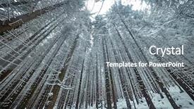  Presentation with winter forest - Amazing slide deck having mysterious trees in winter forest backdrop and a gray colored foreground