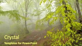  Presentation with mystic - Beautiful presentation theme featuring mystic foggy forest landscape backdrop and a tawny brown colored foreground