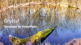  Presentation with mystic - Slide set having view pond marsh - mystic foggy swamp with dead background and a coral colored foreground