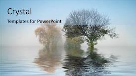  Presentation with japan beautiful landscape mountain fuji - PPT layouts with mystic forest - beautiful landscape with fog background and a light blue colored foreground