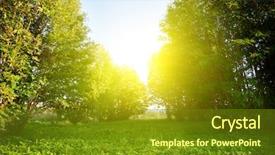  Presentation with seedling sun - PPT theme enhanced with mystic forest - sun in park background and a  colored foreground