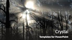  Presentation with mystic - Beautiful slides featuring mystic forest - sun rays at a foggy backdrop and a  colored foreground