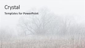  Presentation with tranquil - Beautiful theme featuring mystic forest - willow in mist tranquil morning backdrop and a white colored foreground