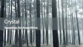  Presentation with mystic - Theme enhanced with mystic forest sun rays entering background and a gray colored foreground