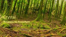  Presentation with mystic - Colorful presentation theme enhanced with mystic-green-forest-ground backdrop and a tawny brown colored foreground